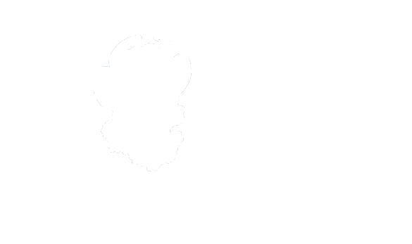 Logo_Borden3x
