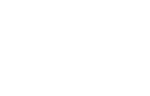 Logo_Broncolin3x