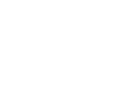 Logo_Conagra3x