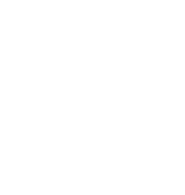 Logo_ViZion3x